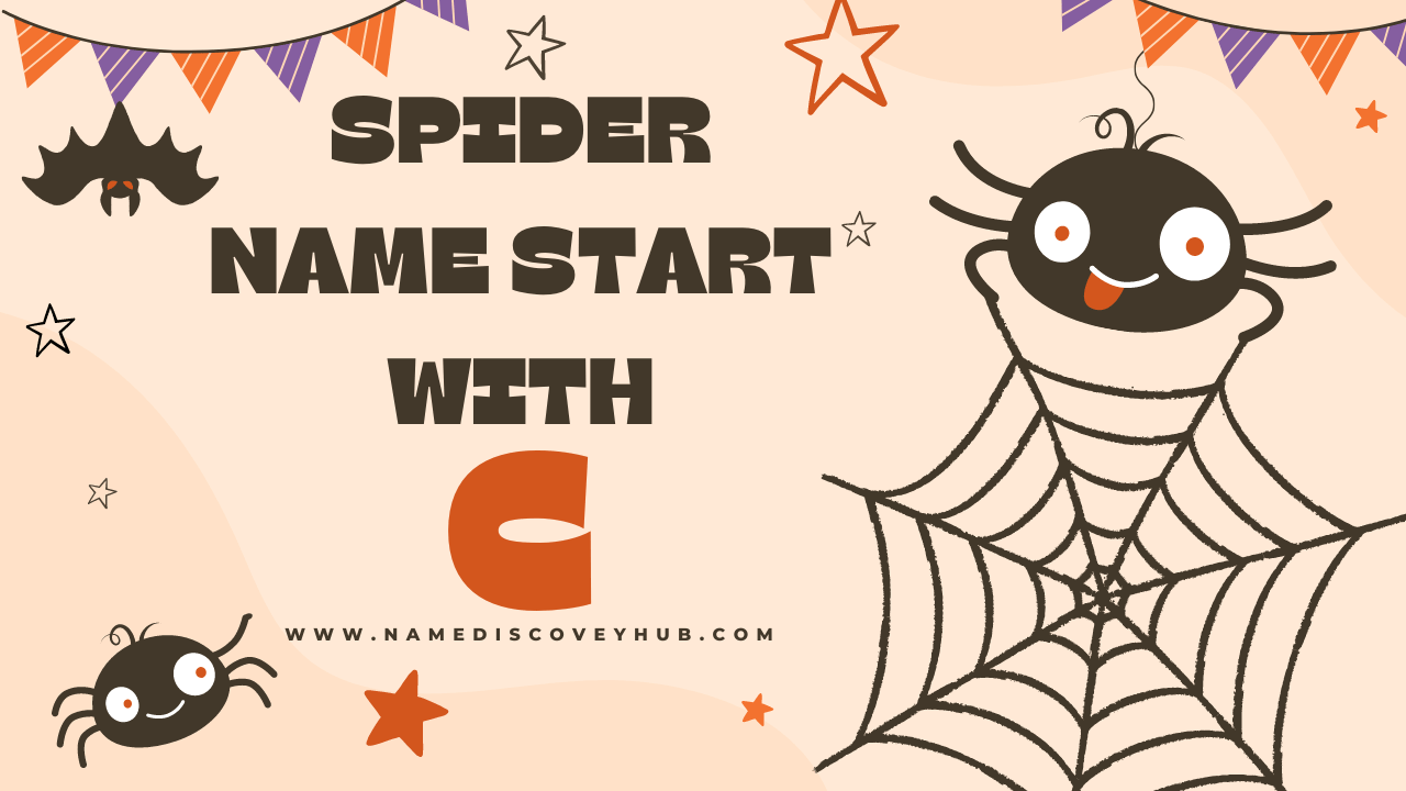 Spider Names that Start with C