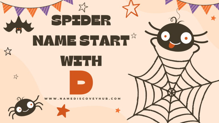 Spider Names that Start with D