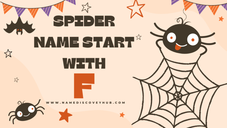 Spider Names that Start with F