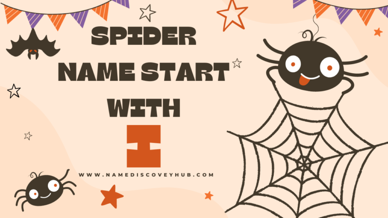 Spider Names that Start with I