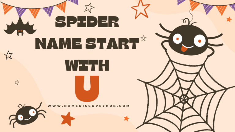 Spider Names that Start with U