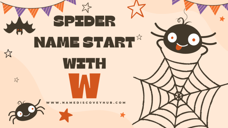 Spider Names that Start with W